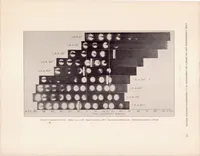 An illustration from Fuel Vaporization and Its Effect on Combustion in a High-Speed Compression-Ignition Engine (1933)