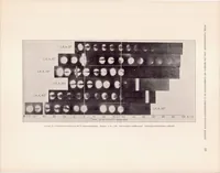 An illustration from Fuel Vaporization and Its Effect on Combustion in a High-Speed Compression-Ignition Engine (1933)