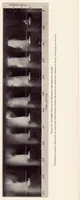 An illustration from Experiments on the Distribution of Fuel in Fuel Sprays (1933)
