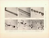 An illustration from Photomicrographic Studies of Fuel Sprays (1934)