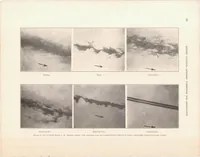 An illustration from Photomicrographic Studies of Fuel Sprays (1934)