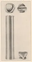 An illustration from Strength Tests of Thin-Walled Duralumin Cylinders in Compression (1934)