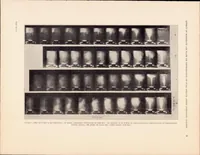An illustration from Effect of Moderate Air Flow on the Distribution of Fuel Sprays After Injection Cut-0ff (1935)