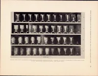 An illustration from Effect of Moderate Air Flow on the Distribution of Fuel Sprays After Injection Cut-0ff (1935)
