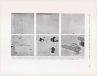 Picture 3 of 5 from The Weathering of Aluminum Alloy Sheet Materials Used in Aircraft (1935), leaf 14