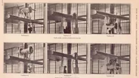 An illustration from Tests of Nacelle-Propeller Combinations in Various Positions with Reference to Wings IV : Thick Wing - Various Radial-Engine Cowlings - Tandem Propellers (1935)