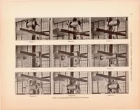 An illustration from Tests of Nacelle-Propeller Combinations in Various Positions with Reference to Wings IV : Thick Wing - Various Radial-Engine Cowlings - Tandem Propellers (1935)