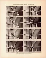 Picture 2 of 3 from Tests of Nacelle-Propeller Combinations in Various Positions with Reference to Wings VI : Wings and Nacelles with Pusher Propeller (1935), leaf 7