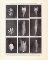 An illustration from A Comparison of Fuel Sprays from Several Types of Injection Nozzles (1936)