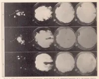 An illustration from Some Effects of Injection Advance Angle, Engine-Jacket Temperature, and Speed on Combustion in a Compression-Ignition Engine (1936)
