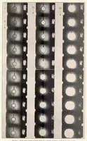 An illustration from The Soap-Bubble Method of Studying the Combustion of Mixtures of Carbon Monoxide and Oxygen (1936)