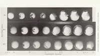 Picture 6 of 6 from Effects of Air-Fuel Spray and Flame Formation in a Compression-Ignition Engine (1937), leaf 11
