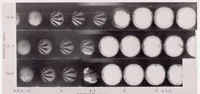 An illustration from Effects of Air-Fuel Spray and Flame Formation in a Compression-Ignition Engine (1937)