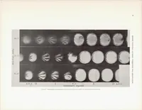 An illustration from Effects of Air-Fuel Spray and Flame Formation in a Compression-Ignition Engine (1937)