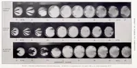 An illustration from Effect of Nozzle Design on Fuel Spray and Flame Formation in a High-Speed Compression-Ignition Engine (1937)