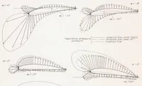 An illustration from Calculated and Measured Pressure Distributions over the Midspan Section of the NACA 4412 Airfoil (1937)