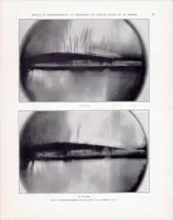 An illustration from The Compressibility Burble and the Effect of Compressibility on Pressures and Forces Acting on a Airfoil (1939)