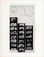 Picture 4 of 6 from The Influence of Directed Air Flow on Combustion in Spark-Ignition Engine (1939), leaf 11