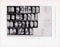 An illustration from The Influence of Directed Air Flow on Combustion in Spark-Ignition Engine (1939)
