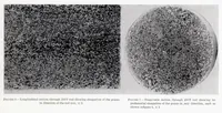 Picture 1 of 3 from Effect of Service Stress on Impact Resistance, X-ray Diffraction Patterns, and Microstructure of 25s Aluminum Alloy (1939), leaf 7