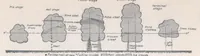 Picture 2 of 4 from Meteorological-physical Limitations of Icing in the Atmosphere (1939), leaf 10