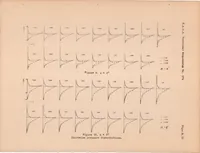 An illustration from Effect of Propeller Slipstream on Wing and Tail (1938)