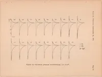 An illustration from Effect of Propeller Slipstream on Wing and Tail (1938)