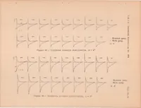 An illustration from Effect of Propeller Slipstream on Wing and Tail (1938)