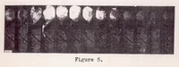 An illustration from Investigation of Ignition and Combustion Processes of Diesel Engines Operating with Turbulence and Air-storage Chambers (1938)