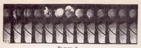 An illustration from Investigation of Ignition and Combustion Processes of Diesel Engines Operating with Turbulence and Air-storage Chambers (1938)