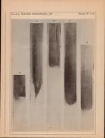 Picture 1 of 5 from Combustion of Gaseous Mixtures (1932), leaf 26