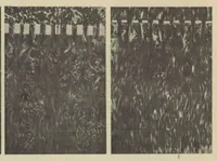 An illustration from Turbulence and mechanism of resistance on spheres and cylinders (1932)
