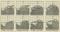 Picture 3 of 6 from Measurement of visibility from the pilot's cockpit on different airplane types (1931), leaf 21