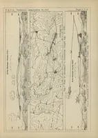 An illustration from Eleventh Rhon soaring-flight contest, 1930 (1931)