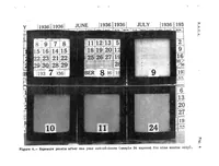 Picture 2 of 5 from A Study of Transparent Plastics for use on Aircraft, Special Report (1937), leaf 44