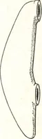 An illustration from National boilers, radiators, and specialties: catalog no. 26 (1920)