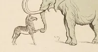 Picture 1 of 3 from Noé dans son arche (1902), leaf 68