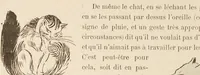 An illustration from Noé dans son arche (1902)
