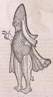 An illustration from Nomenclator aquatilium animantium : Icones animalium in mari et dulcibus aquis degentium plus quam DCC. cum nomenclaturis singulorum Latinis, Graecis, Italicis, Hispanicis, Gallicis, Germanicis, Anglicis, alijsq́[ue] interdum, per certos ordines digestae ... (1606)