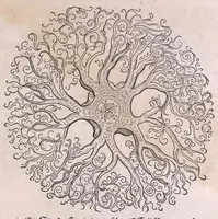 Picture 74 of 97 from Nomenclator aquatilium animantium : Icones animalium in mari et dulcibus aquis degentium plus quam DCC. cum nomenclaturis singulorum Latinis, Graecis, Italicis, Hispanicis, Gallicis, Germanicis, Anglicis, alijsq́[ue] interdum, per certos ordines digestae ... (1606), leaf 292