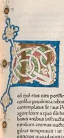 Picture 12 of 32 from Vitae illustrium virorum, leaf 212