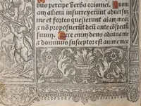 An illustration from [Horae ad usum Romanum. Lat. et fr. :] Heures à l’usaige de Romme (1505)