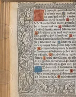 Picture 49 of 66 from [Horae ad usum Romanum. Lat. et fr. :] Heures à l’usaige de Romme (1505), leaf 191