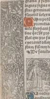 Picture 61 of 66 from [Horae ad usum Romanum. Lat. et fr. :] Heures à l’usaige de Romme (1505), leaf 245
