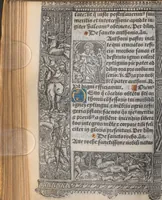 Picture 63 of 66 from [Horae ad usum Romanum. Lat. et fr. :] Heures à l’usaige de Romme (1505), leaf 251