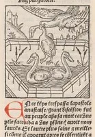 Picture 4 of 76 from Chroniques de France (1ère partie), leaf 36