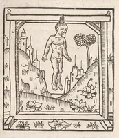 Picture 74 of 85 from Chroniques de France (2ème partie), leaf 452