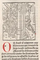 Picture 17 of 65 from Chroniques de France (3ème partie), leaf 139