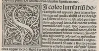 Picture 6 of 7 from De Mutatione aeris - De Medicorum astrologia, leaf 92