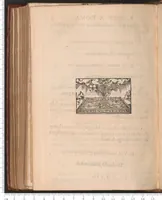 An illustration from La Magnificence des triumphes faictz à Rome, pour la nativité de Monseigneur le Duc d'Orléans second fils du Roy tres chrestien Henry deuxiesme de ce nom. Traduicte d'Italien en Francoys. (1549)